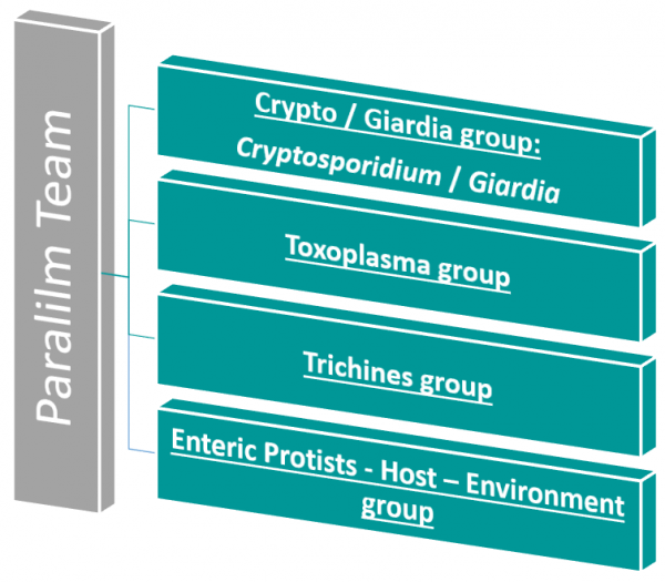 Equipe Paralim_082025_En